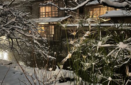 祇園白川雪