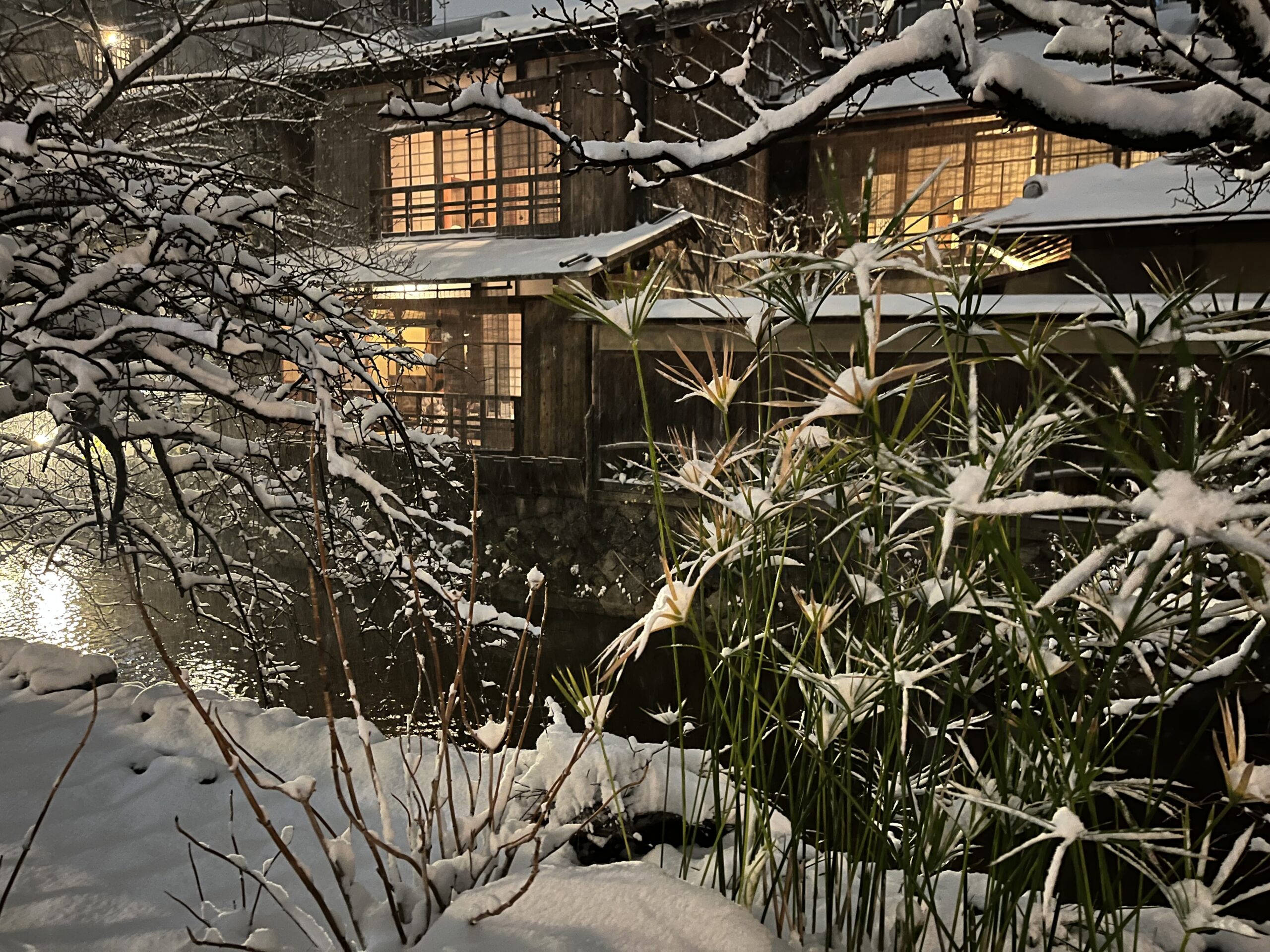 祇園白川雪