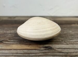 金森得水二見浦鏡貝香合