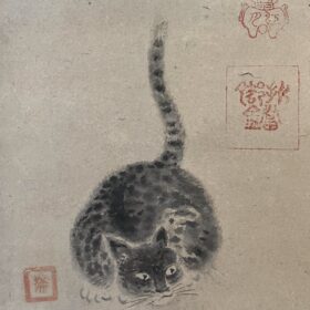 狩野探幽筆猫図江月賛