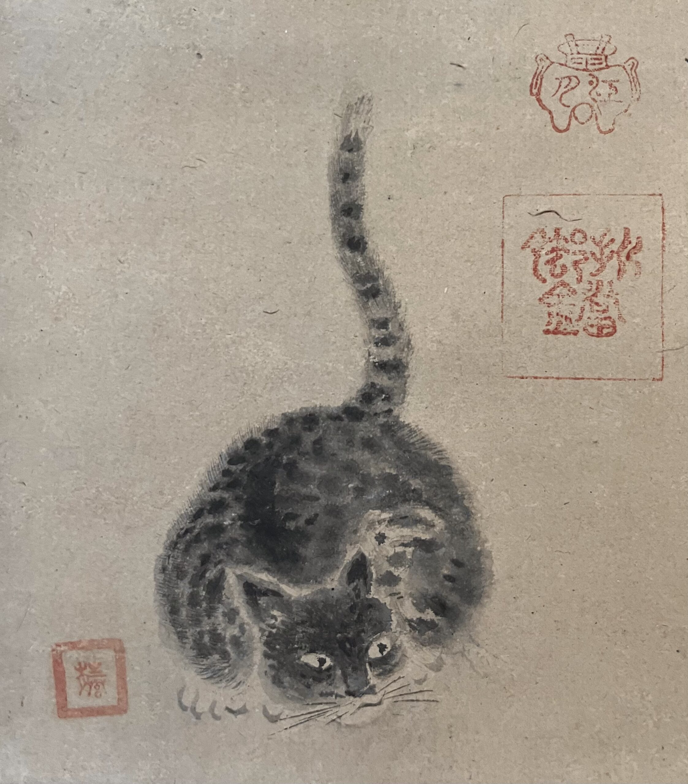 狩野探幽筆猫図江月賛