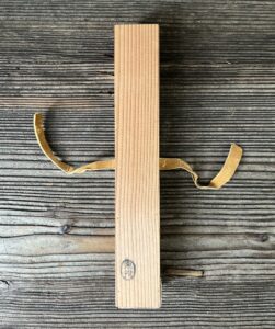 菅楯彦茶杓　銘「花陰」