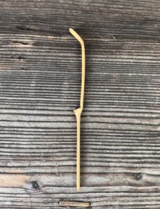 骨董水妖｜大谷尊由作茶杓 銘「沙那王」