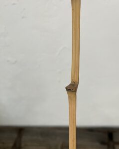 骨董水妖｜大谷尊由作茶杓 銘「沙那王」