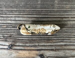 初代真葛香山作胡瓜香合