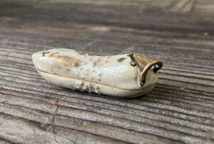 初代真葛香山作胡瓜香合