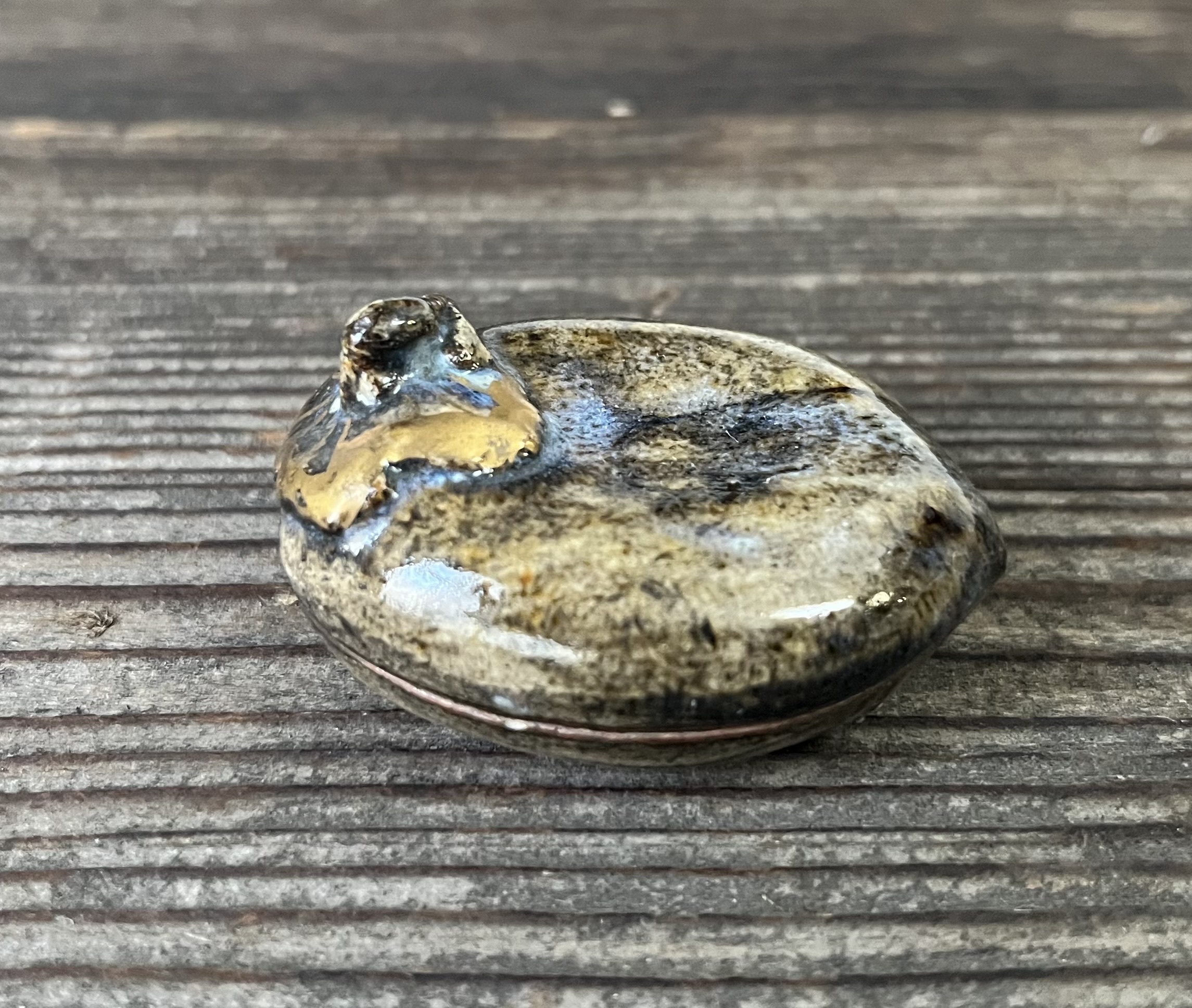 初代真葛香山作干し柿香合