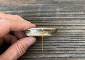 初代真葛香山作 干し柿香合